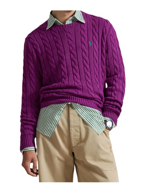Polo Ralph LaurenMaglione con ricamo Polo Ralph Lauren | 710-775885-539PURPLE DAWN